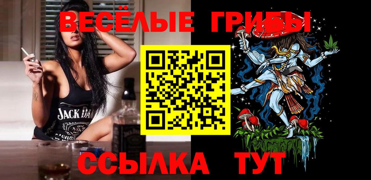 Артём  Галлюциногенные грибы MAGIC MUSHROOMS  Вход с VPN 